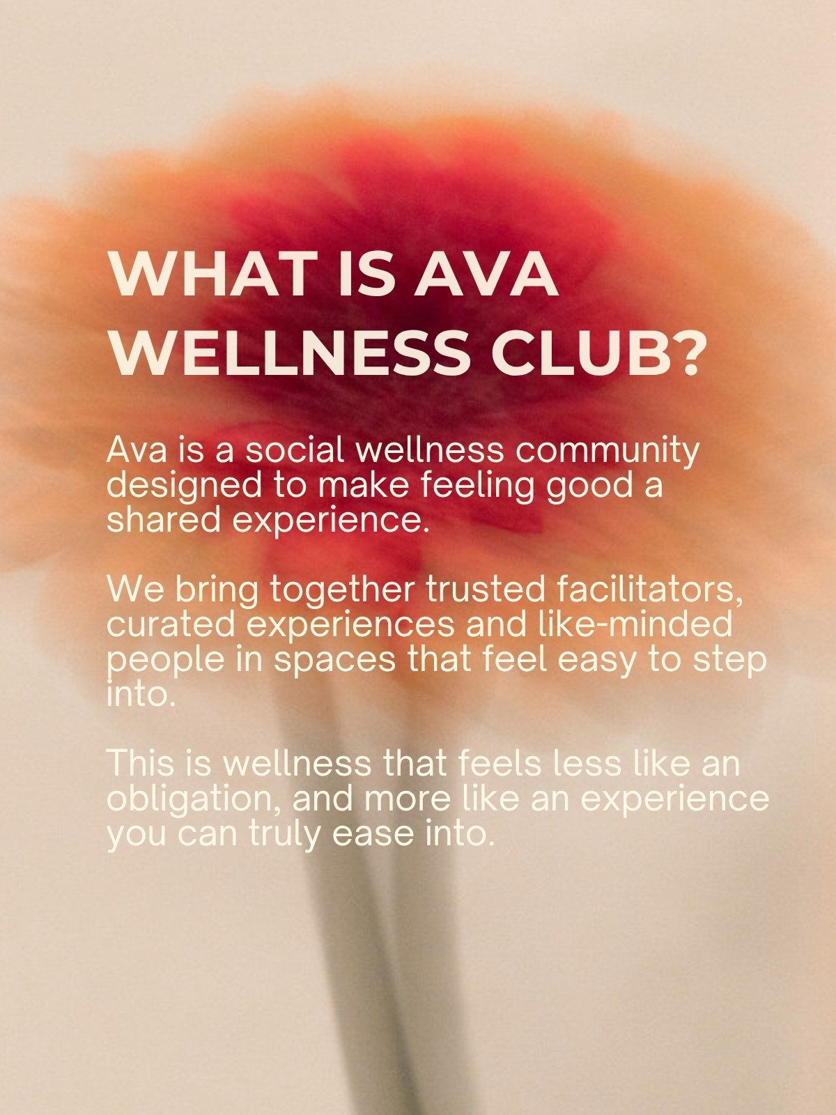 What is Ava Wellness Club, slide 2