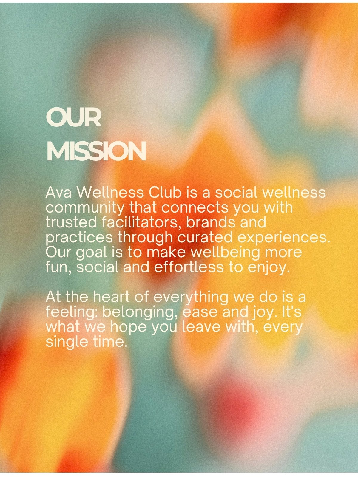 What is Ava Wellness Club, slide 5
